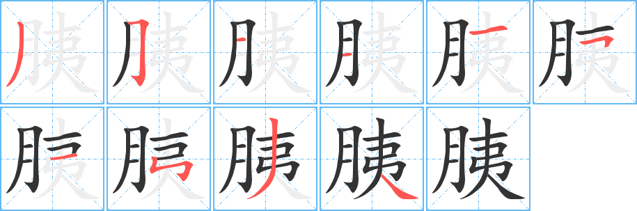 胰的筆順分步演示