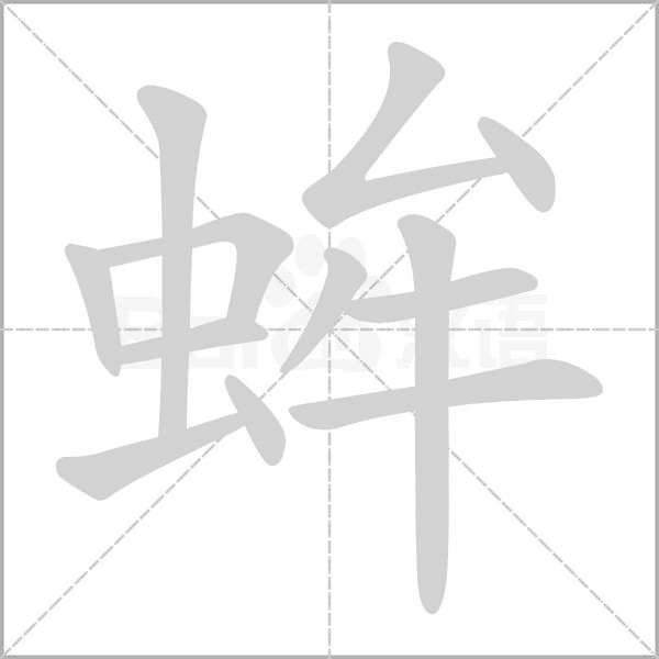 蛑的筆順動(dòng)畫演示